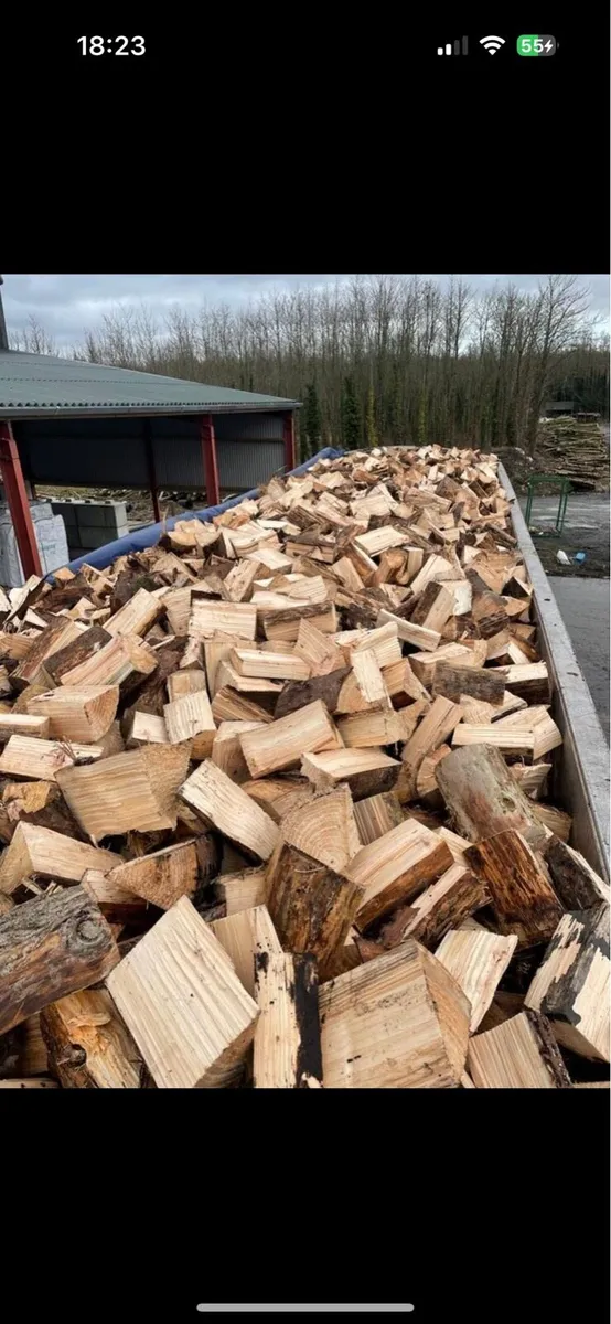 Firewood - Image 2
