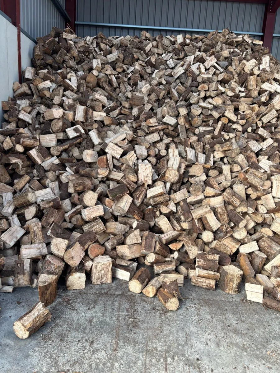 Firewood - Image 3