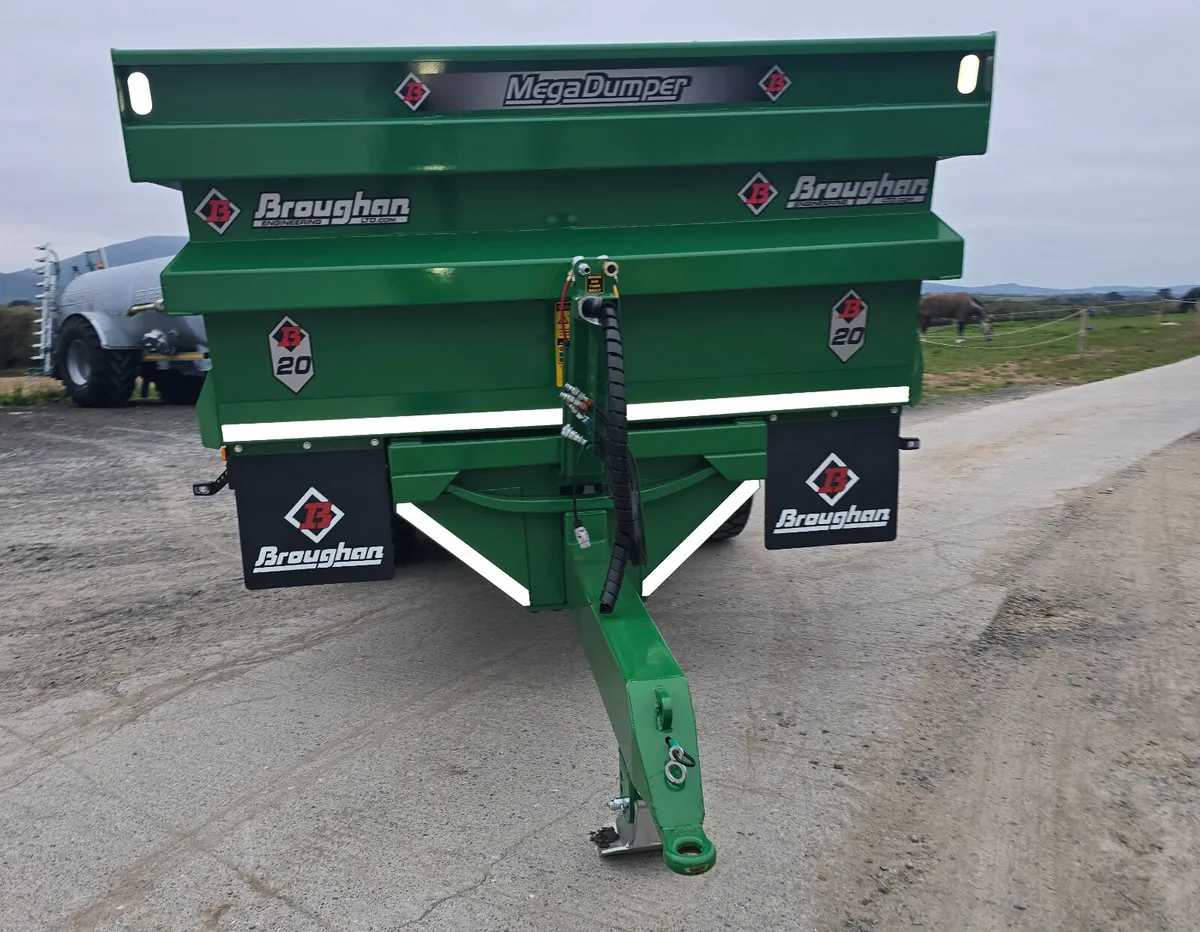 BROUGHAN 20T DUMP TRAILER - Image 4