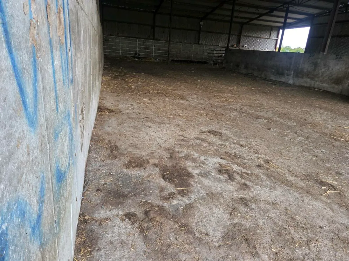 Shed to rent - Image 1