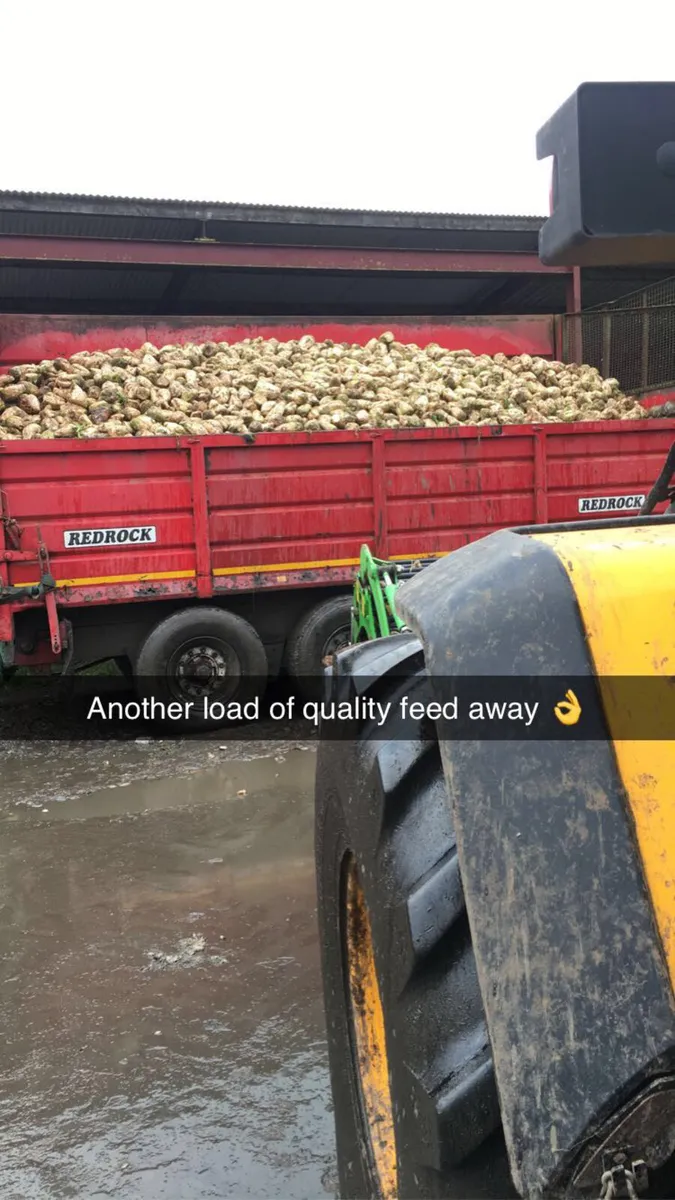 Beet and maize - Image 1