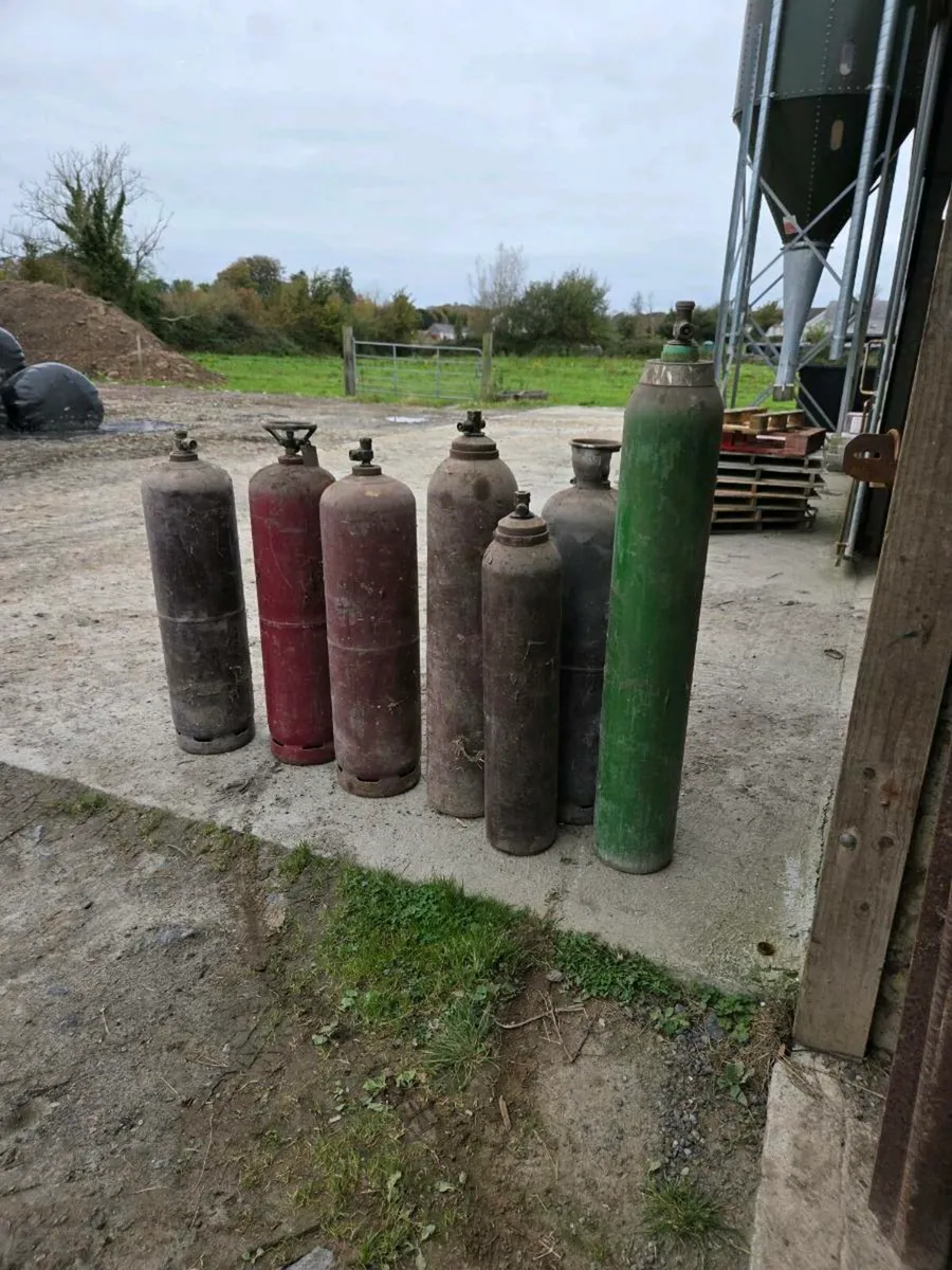 Acetylene & argon gas bottle - Image 1