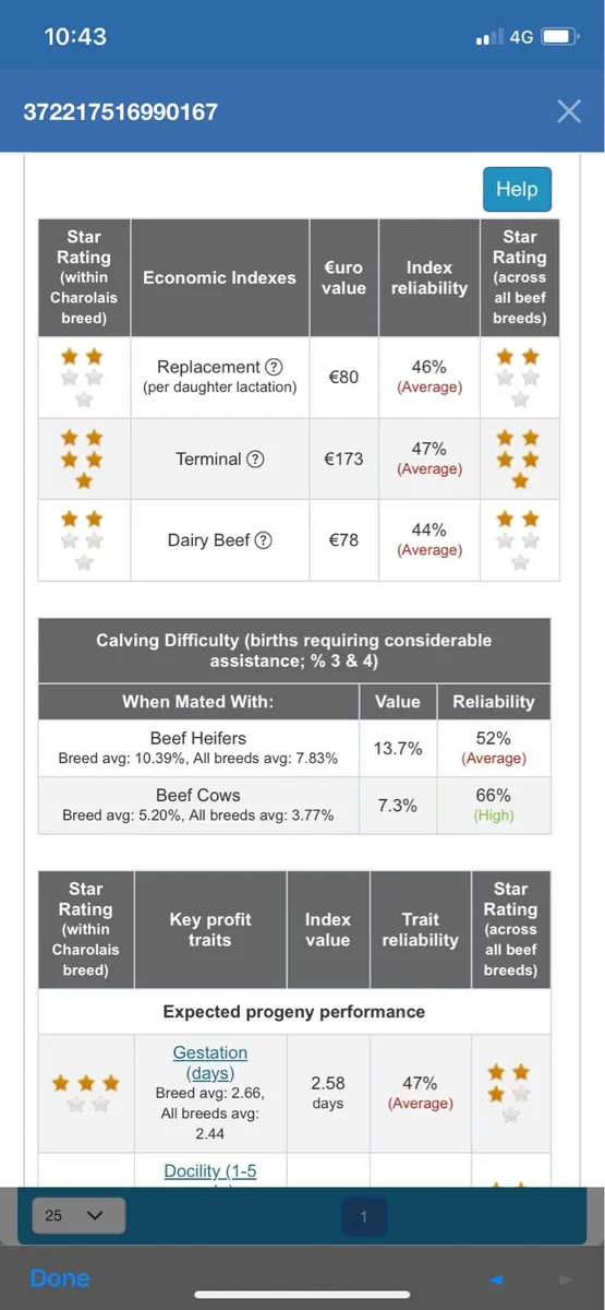 Pedigree Charolais Bull - Image 2