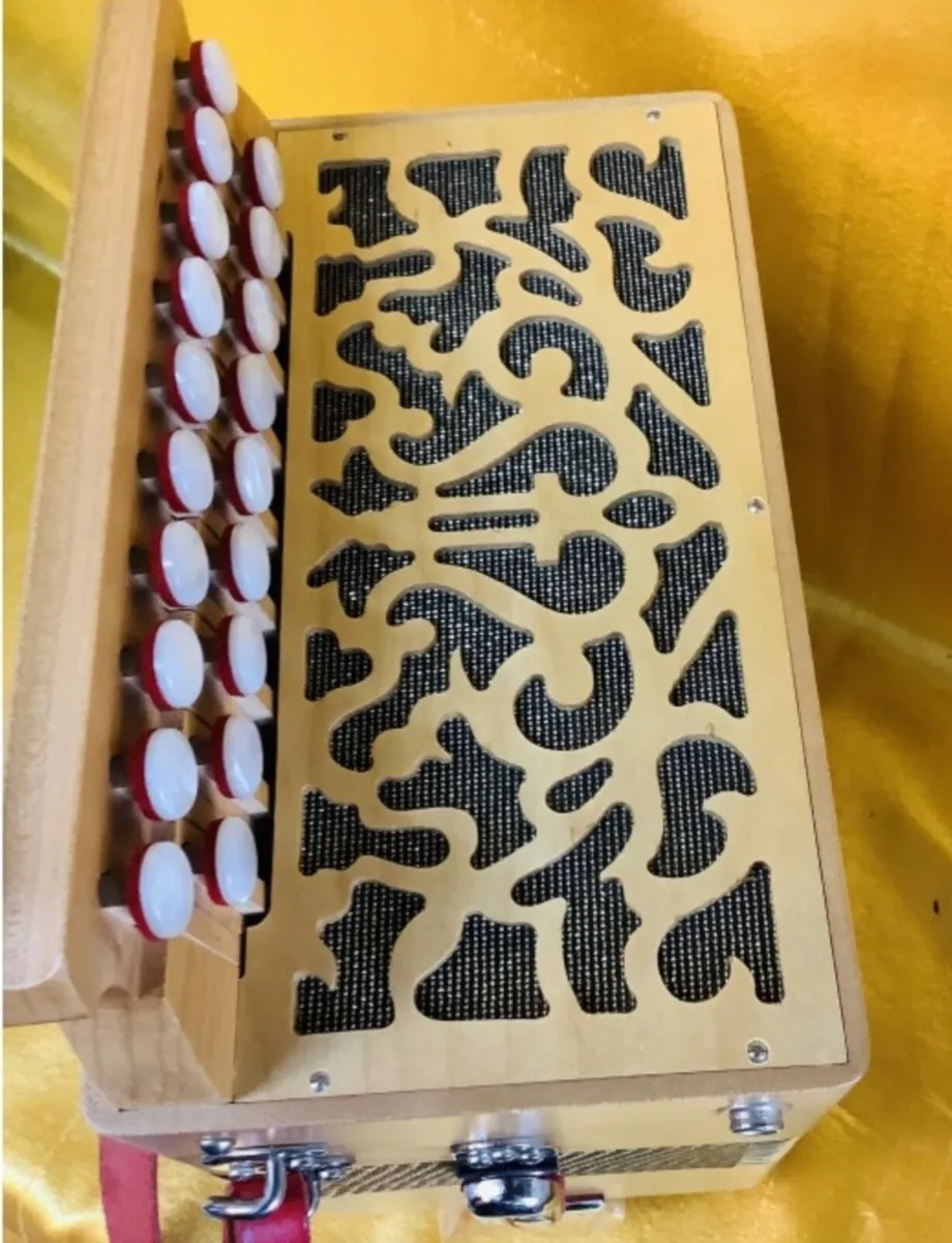 BRANDONI JUPITER 19 D/C 2 VOICE DRY TUNED BUTTON A - Image 3