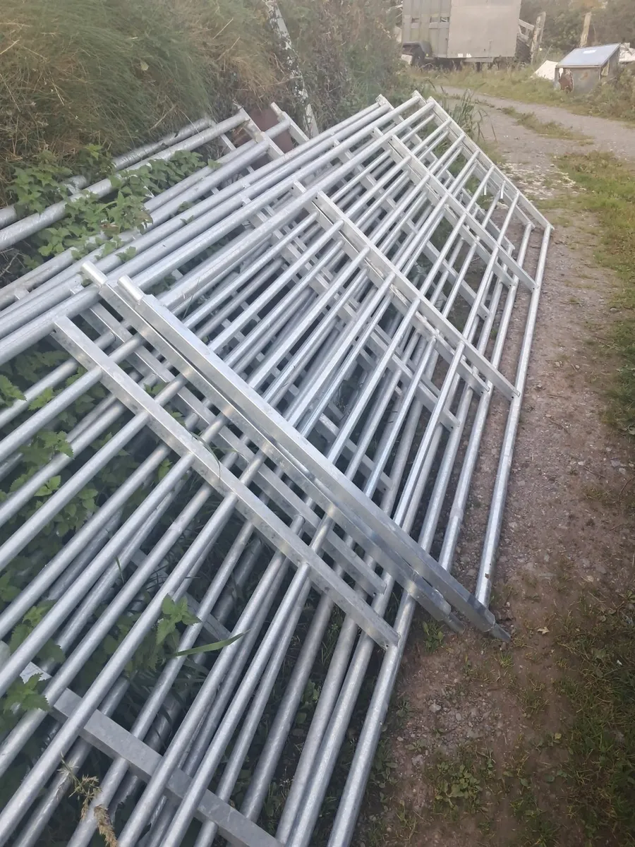 Quality  gates for sale - Image 1