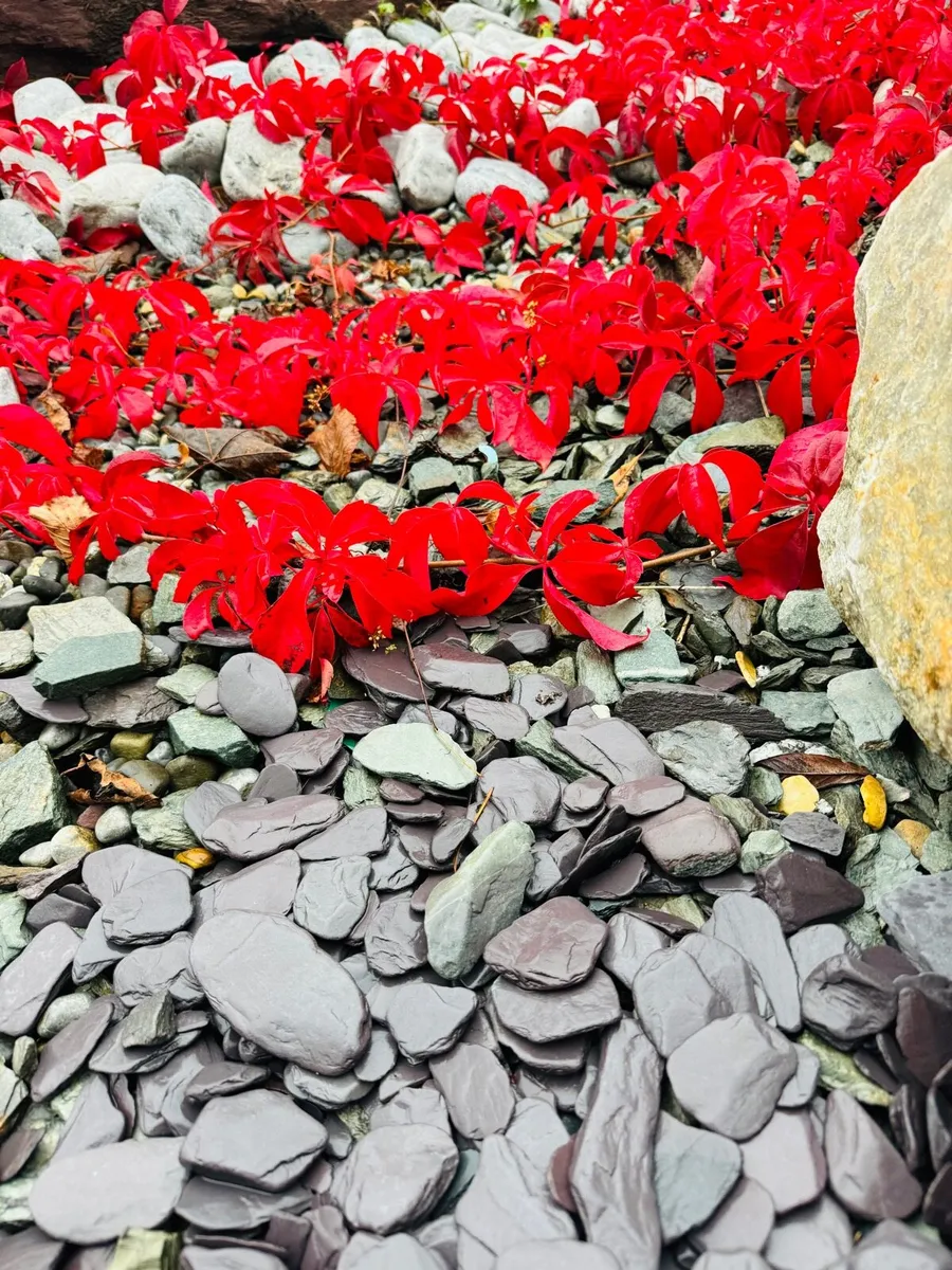 Icy blue stones, cobbles, pebbles, chippings - Image 4