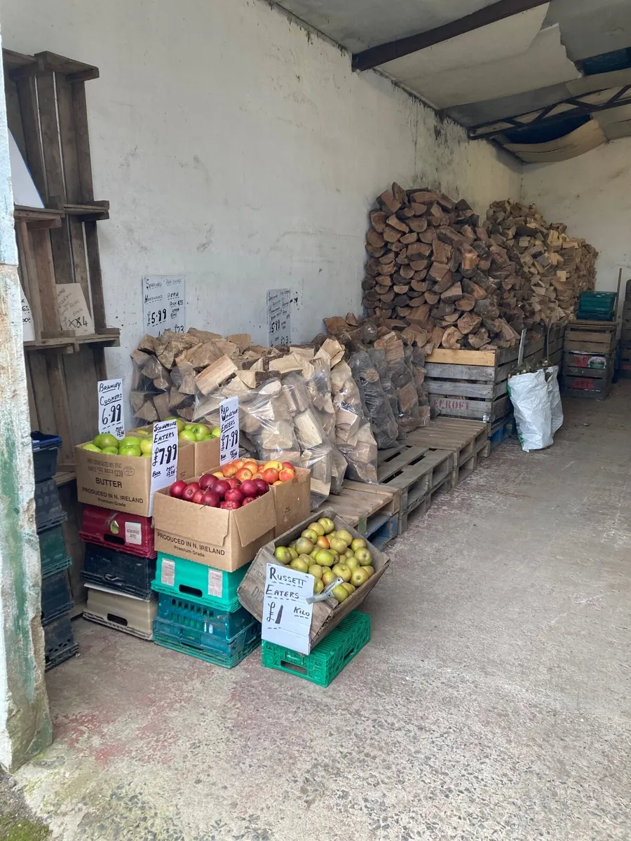 New season Cooking and Eating apples ,Pears , - Image 2