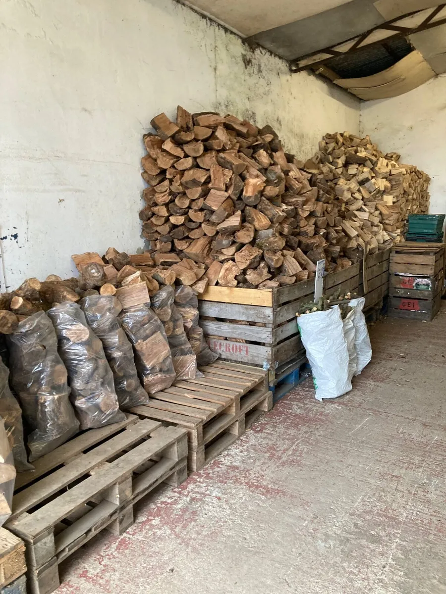 New season Cooking and Eating apples ,Pears , - Image 3