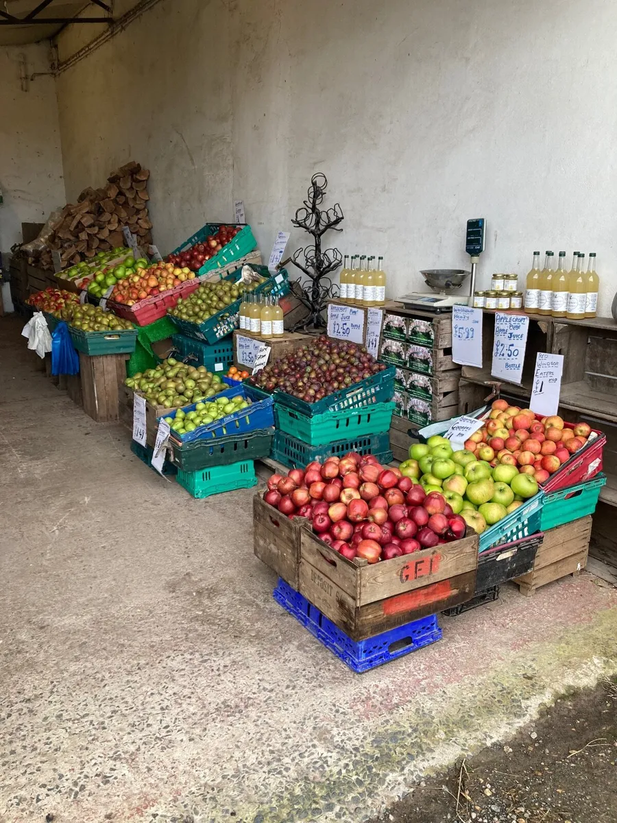 New season Cooking and Eating apples ,Pears , - Image 1