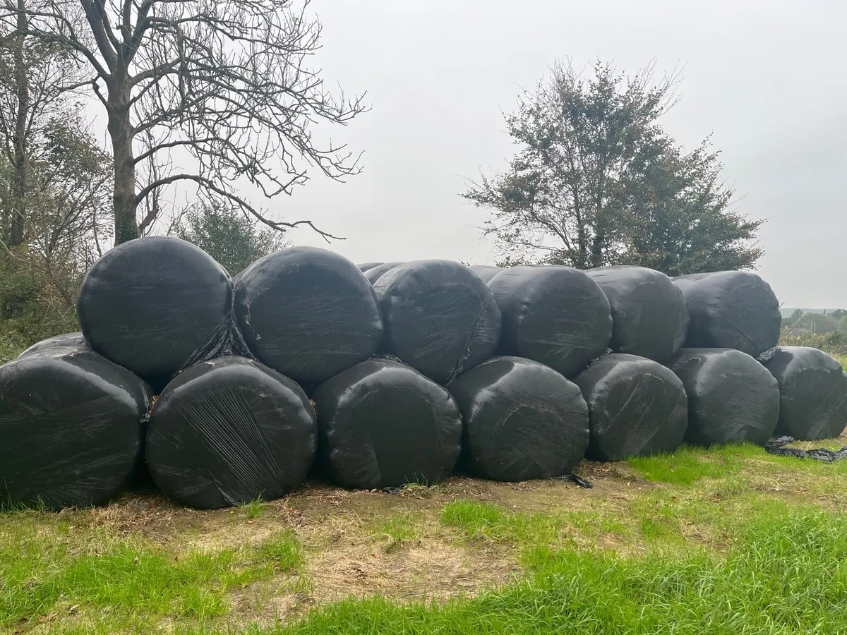 Silage & Hay - Image 1