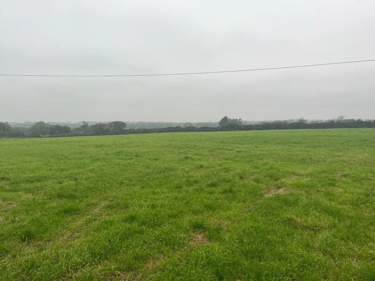 Silage & Hay - Image 2