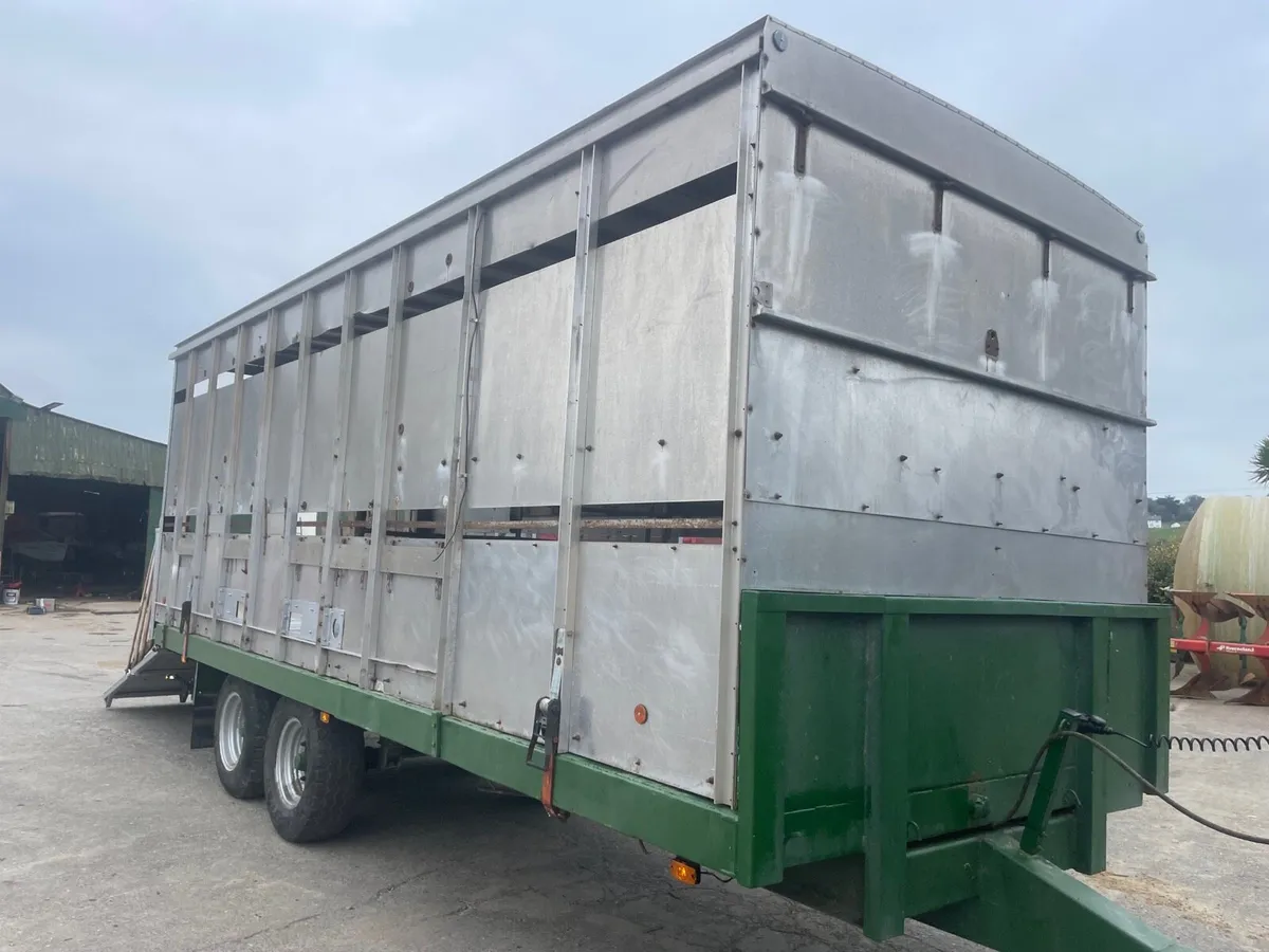 22 Ft Livestock / Bale Trailer - Image 3
