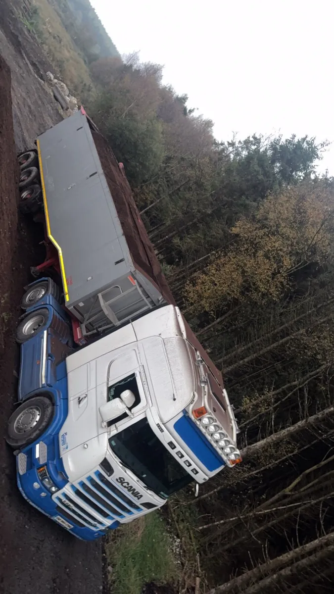 Top quality bedding peat - Image 1