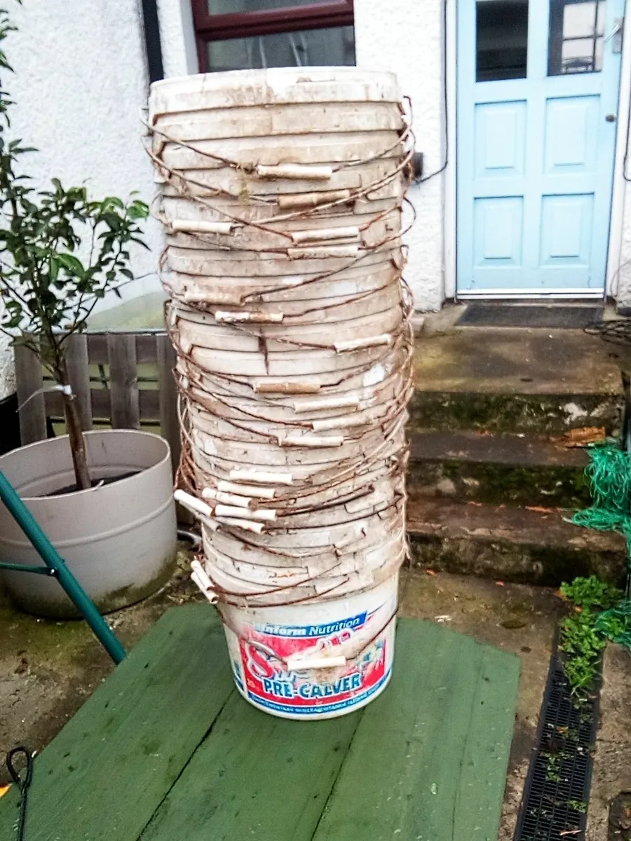 4 gallon buckets (ex cow salt lick ) x 30 - Image 3