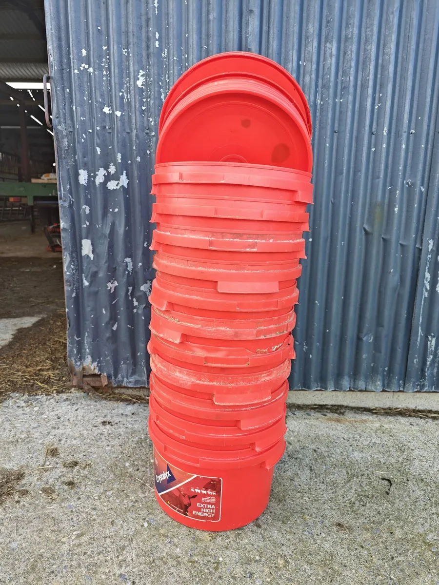 Buckets - Image 1