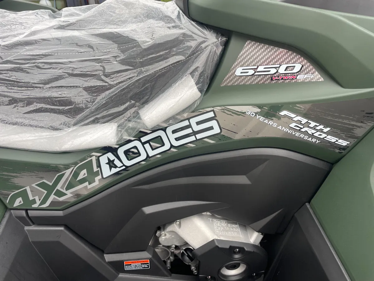 AODES NEW   QUADS  ATVs  UTV  @ ONLY  €39 P/W - Image 4