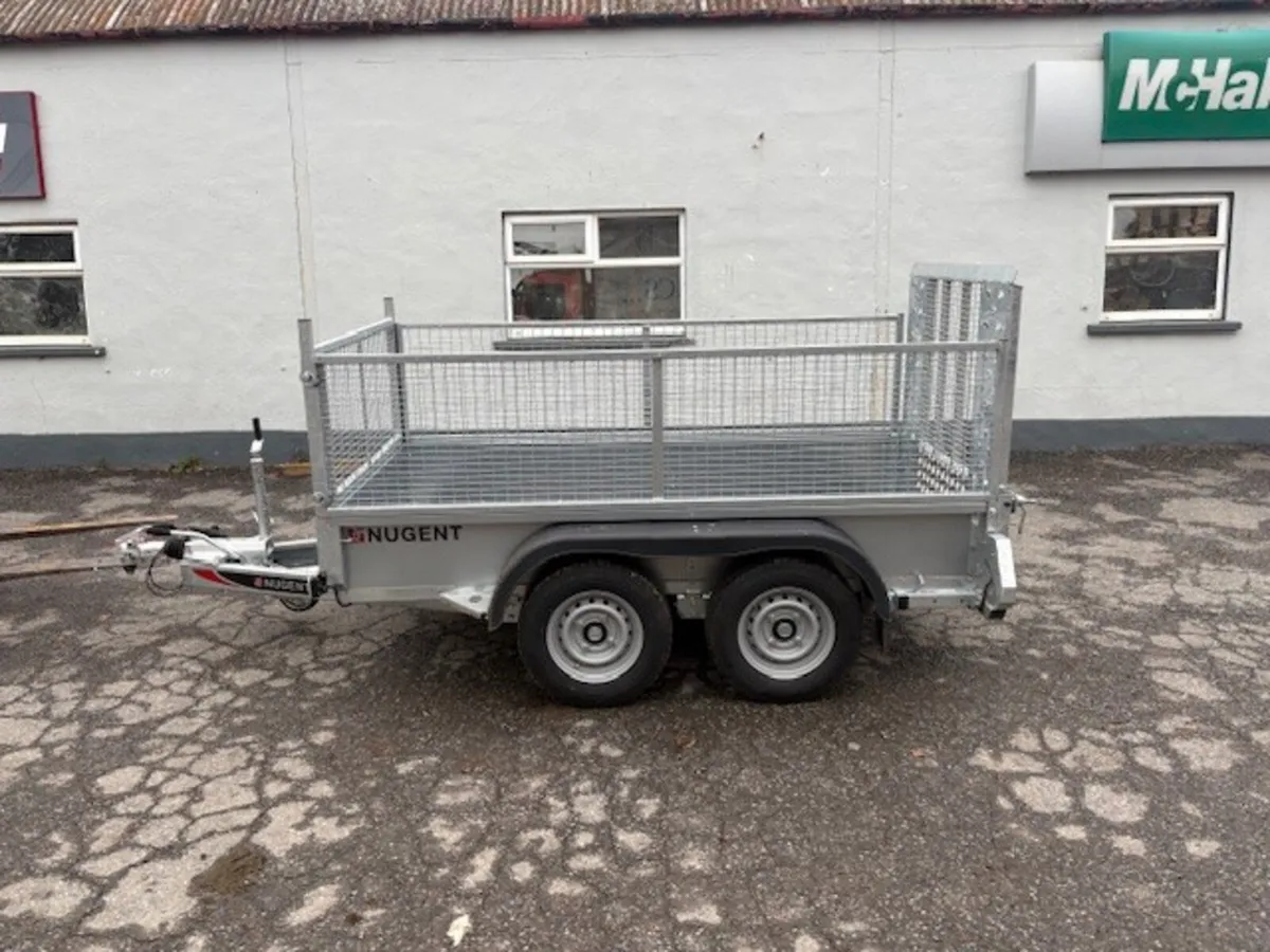 New Nugent GP 2535x1268 Mesh Side 2000kg 2 Axle - Image 4