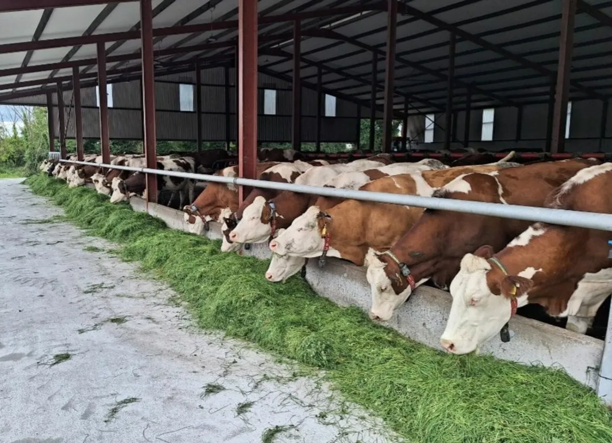 Zero Grazing Machines - Image 2