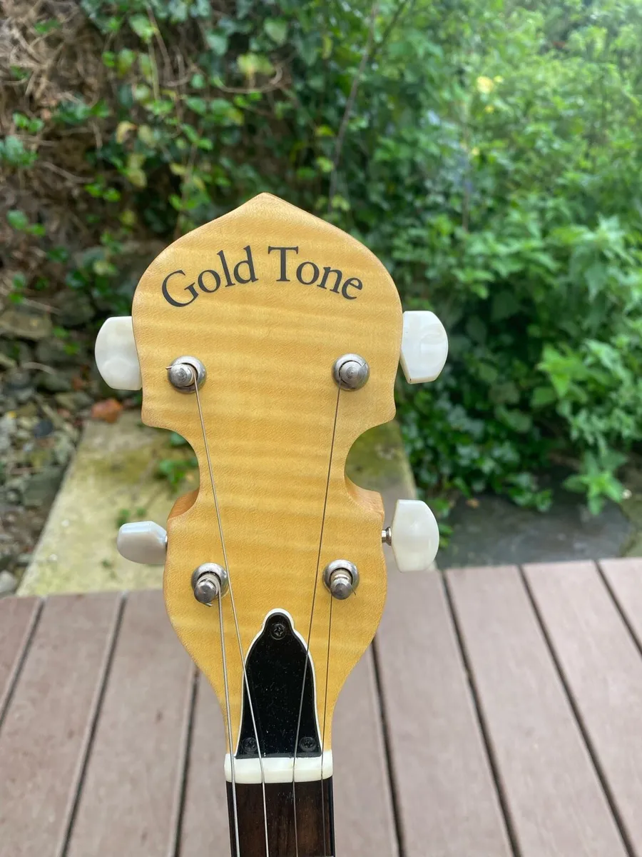 Gold Tone Banjo - Image 1