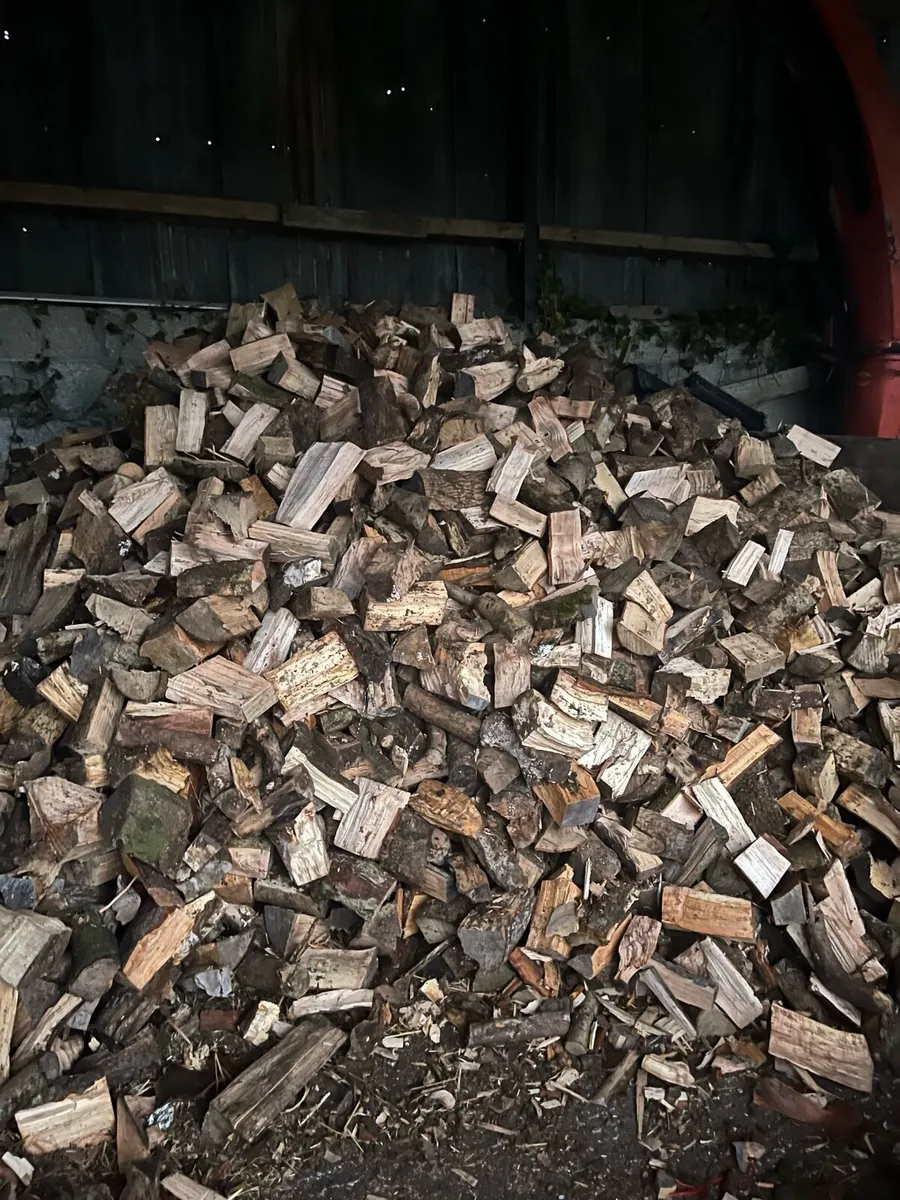 Fire wood - Image 2