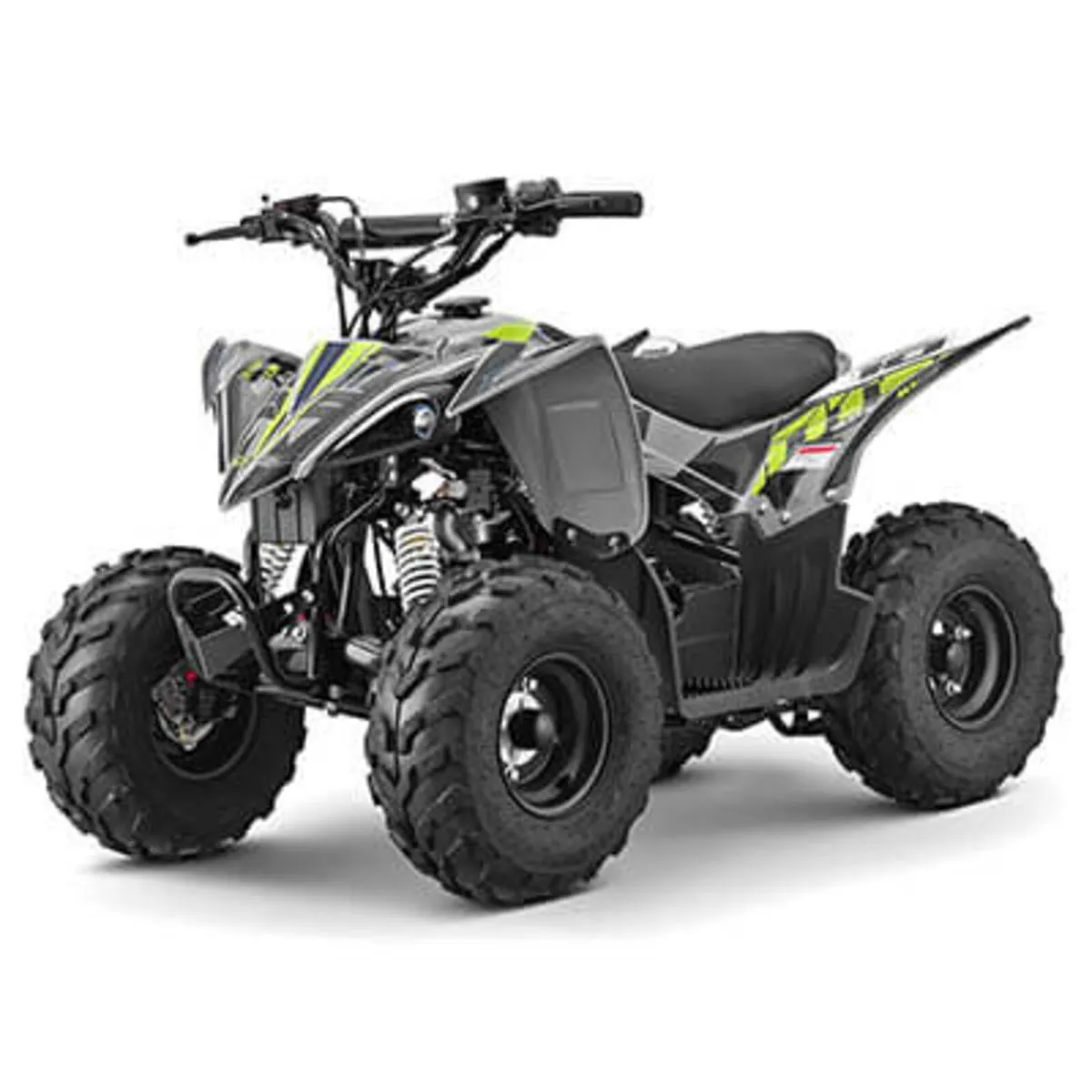 10TEN 120CC FUEL INJECTION QUAD - Image 1