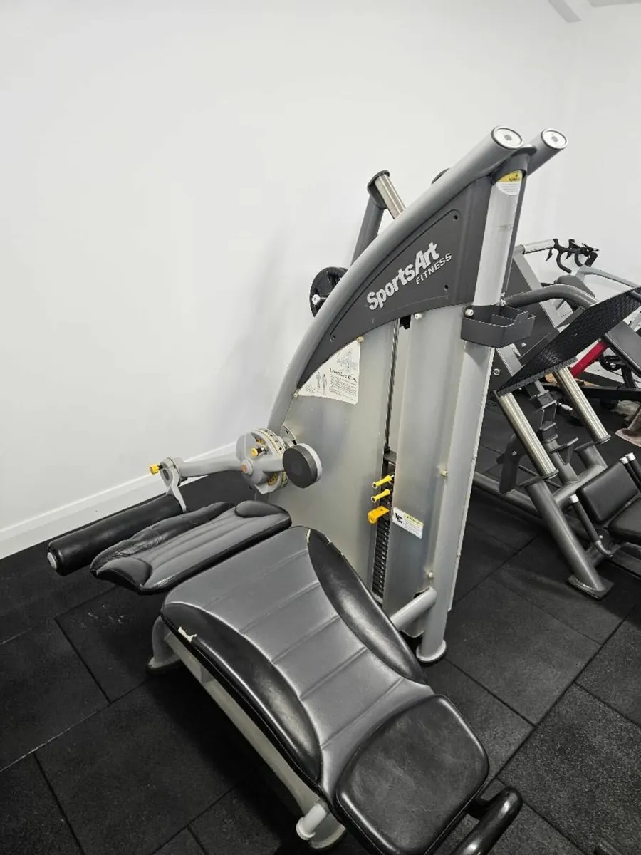 Leg Extension and Leg Curl - Image 4