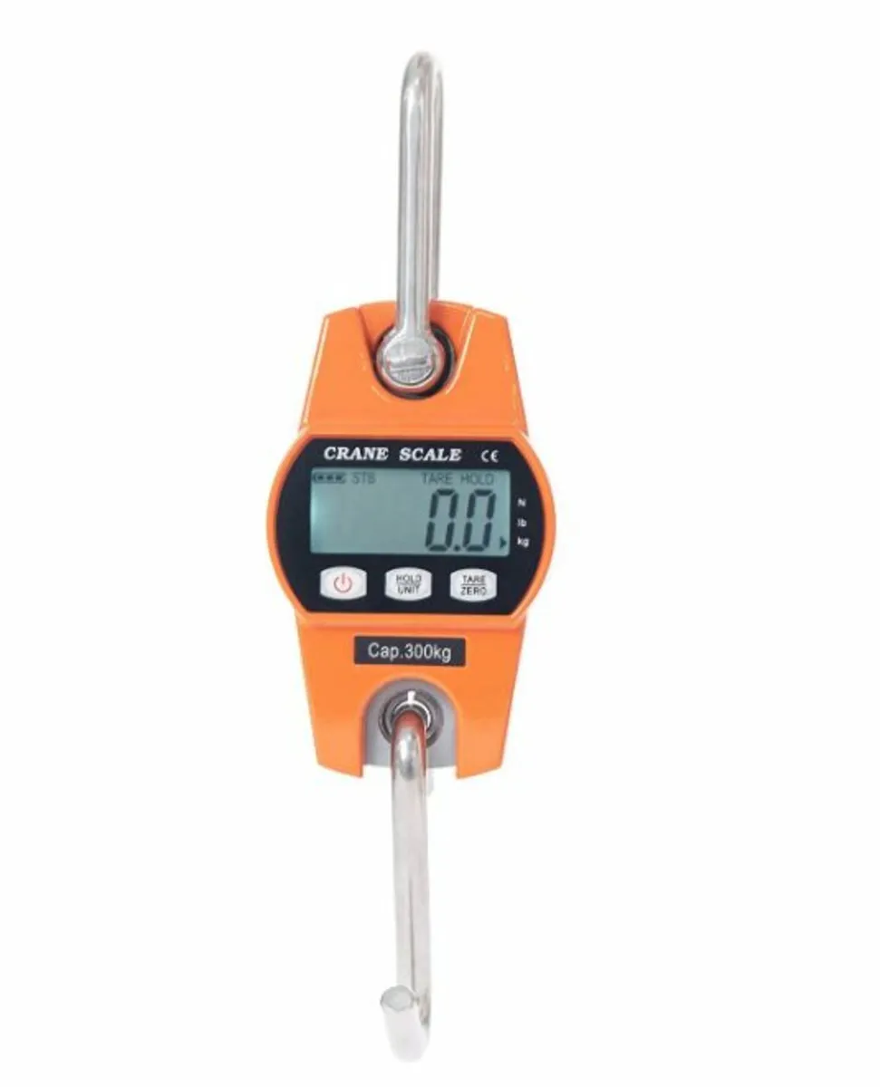 Crane Scale 300kg, Nationwide Delivery - Image 1