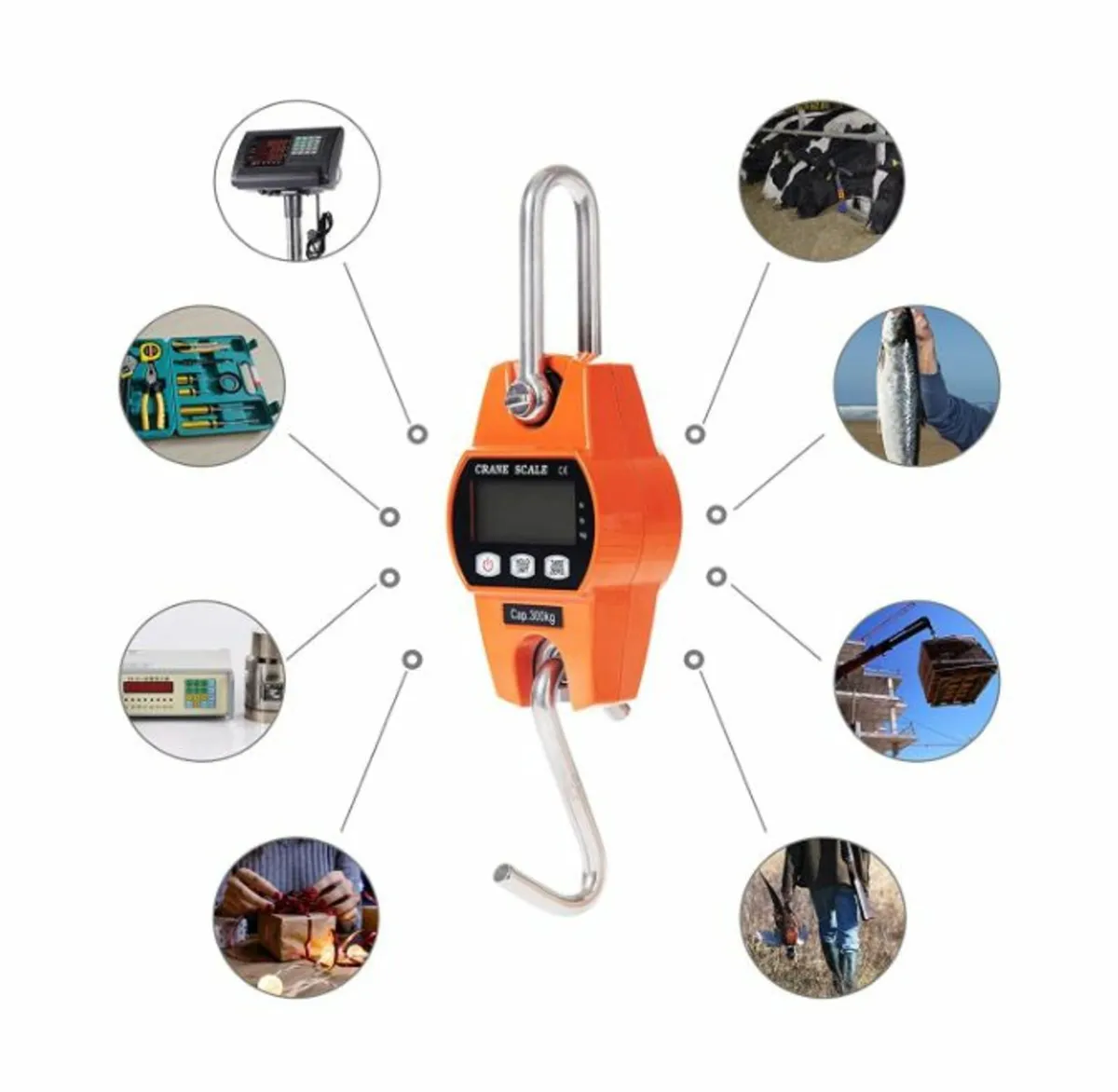 Crane Scale 300kg, Nationwide Delivery - Image 2