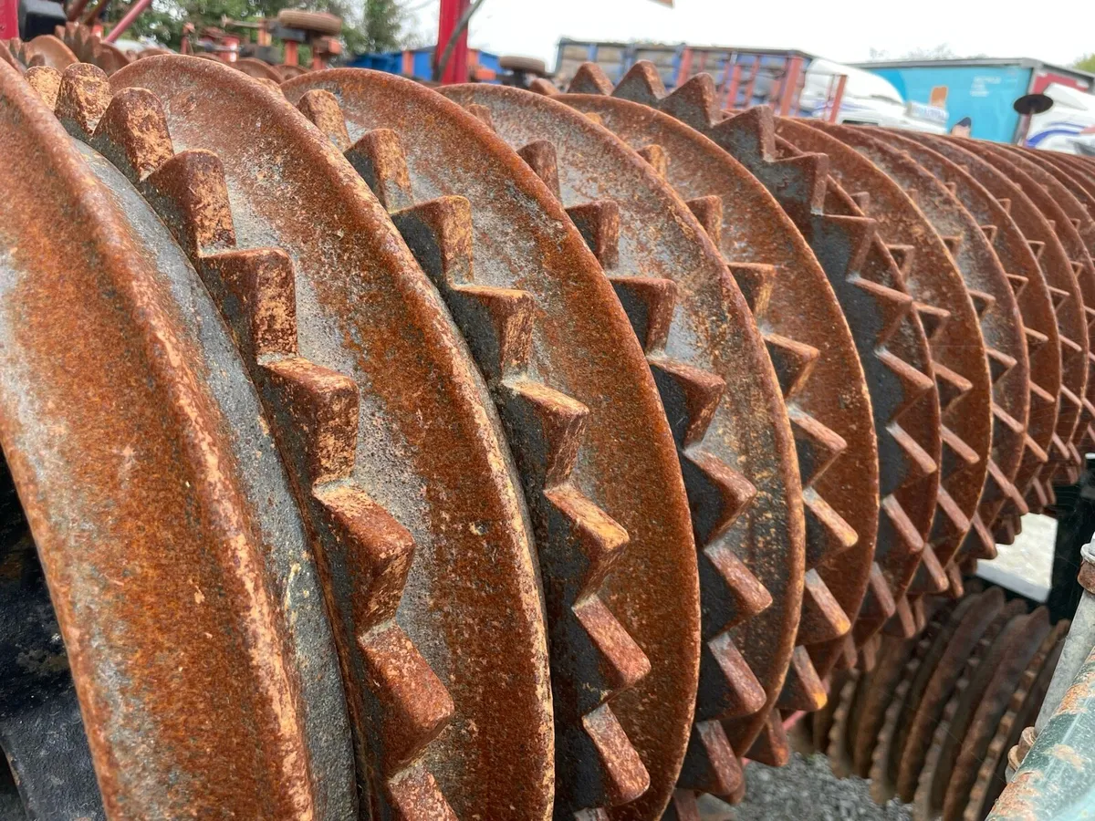 Ring roller with paddles. - Image 2