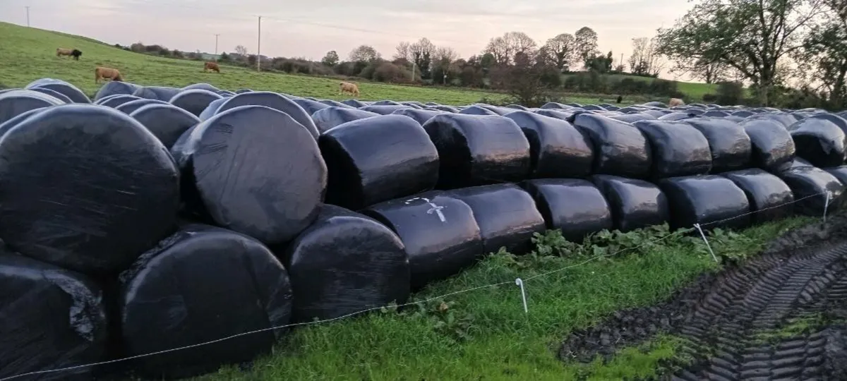 250 silage bales