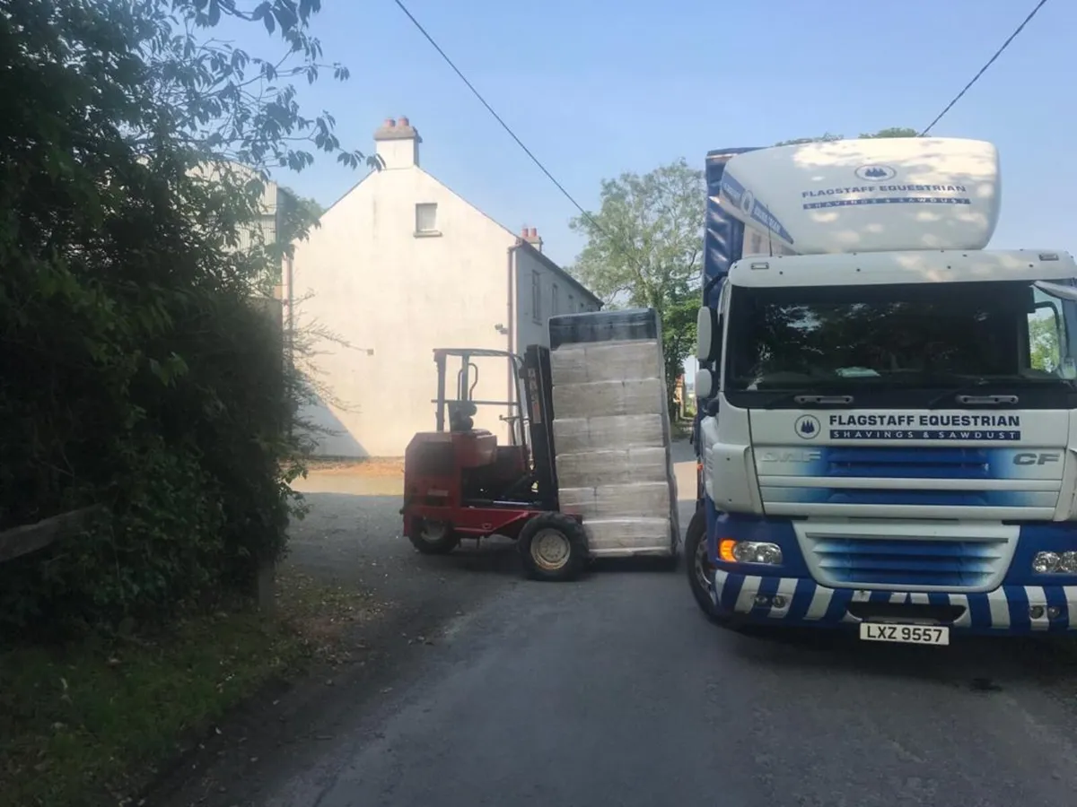 Pallets of Top Quality Shavings - Image 4