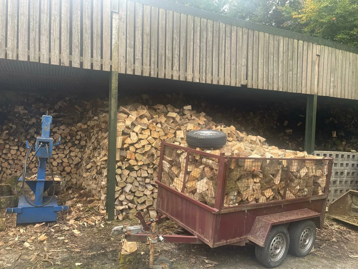Firewood - Image 3