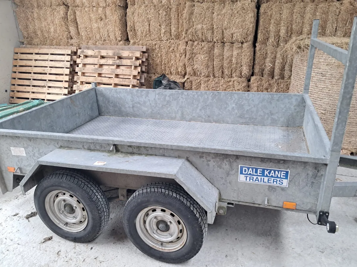 dale kane 8ft general purpose trailer - Image 3