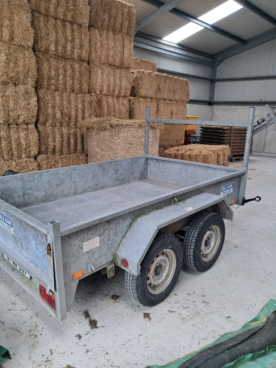 dale kane 8ft general purpose trailer - Image 2