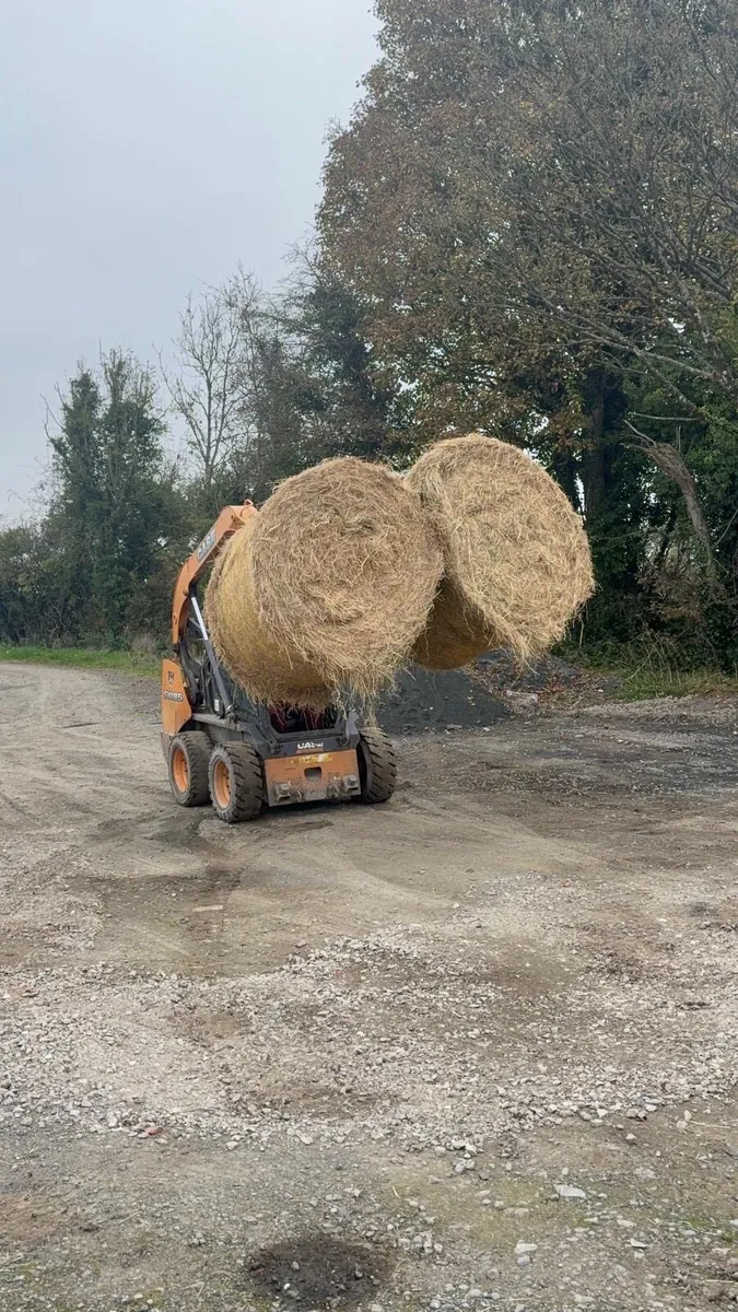 Case SV 185 Skid steer - video available - Image 4