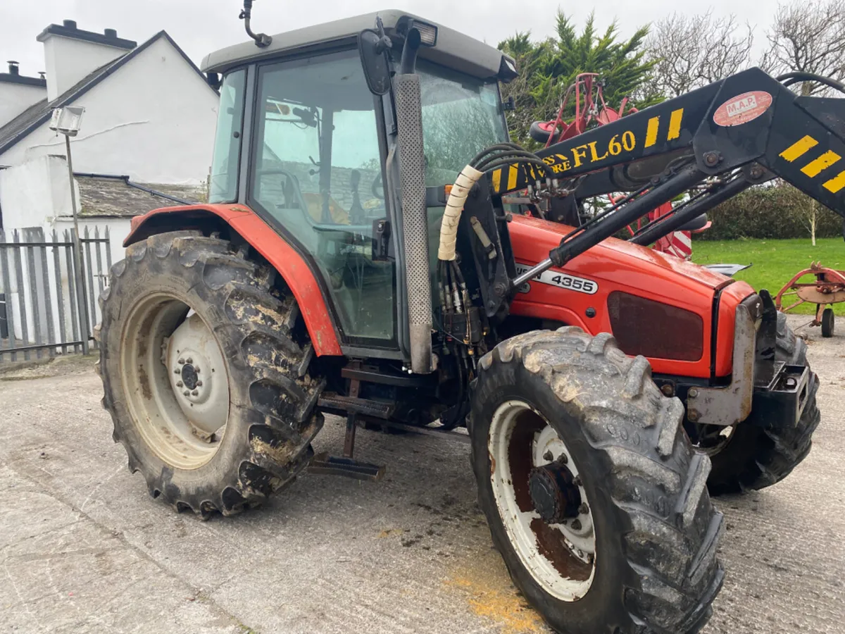 Massey Ferguson 4355 and loader - Image 1