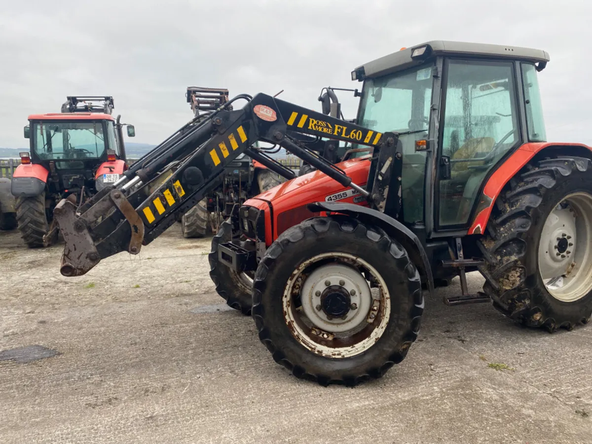Massey Ferguson 4355 and loader - Image 3