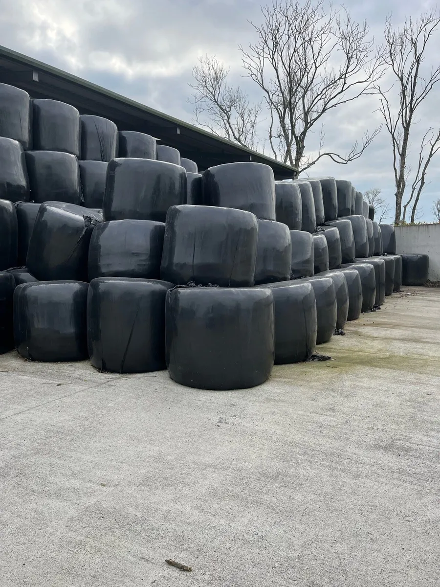 Silage for sale - Image 1
