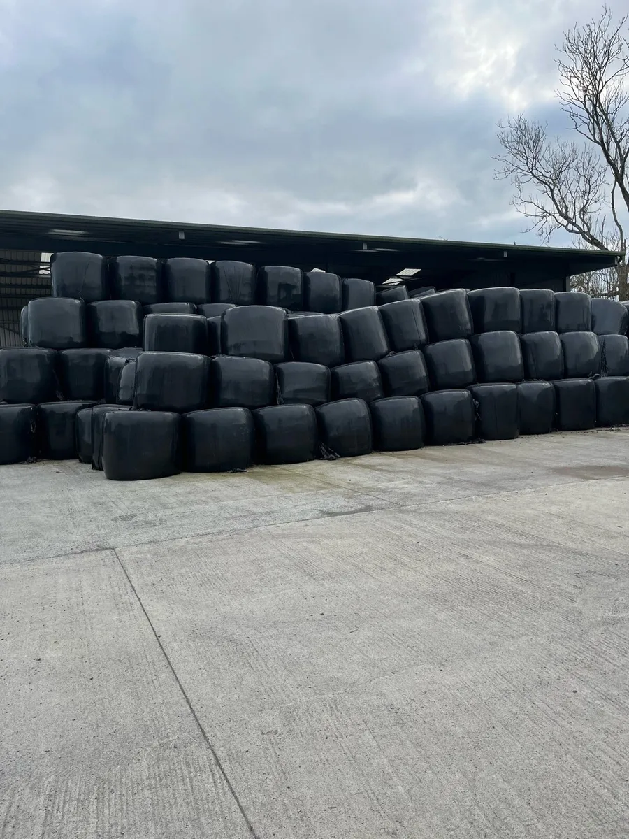 Silage for sale - Image 2