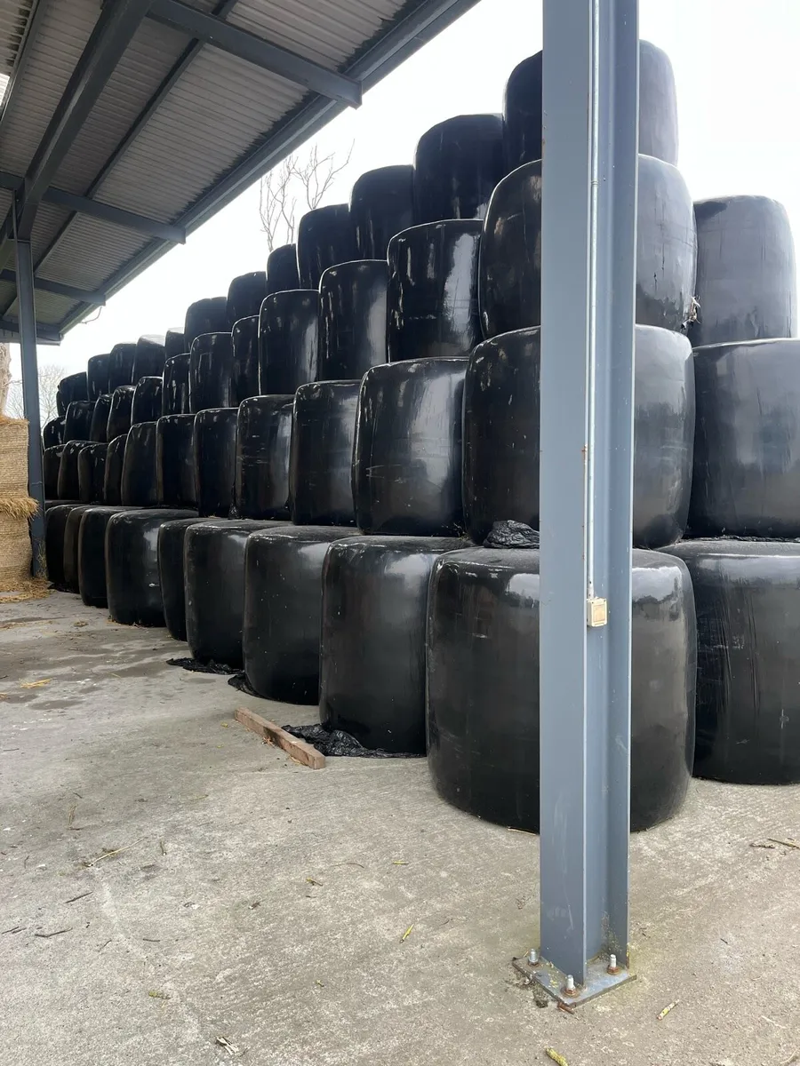 Silage for sale - Image 3