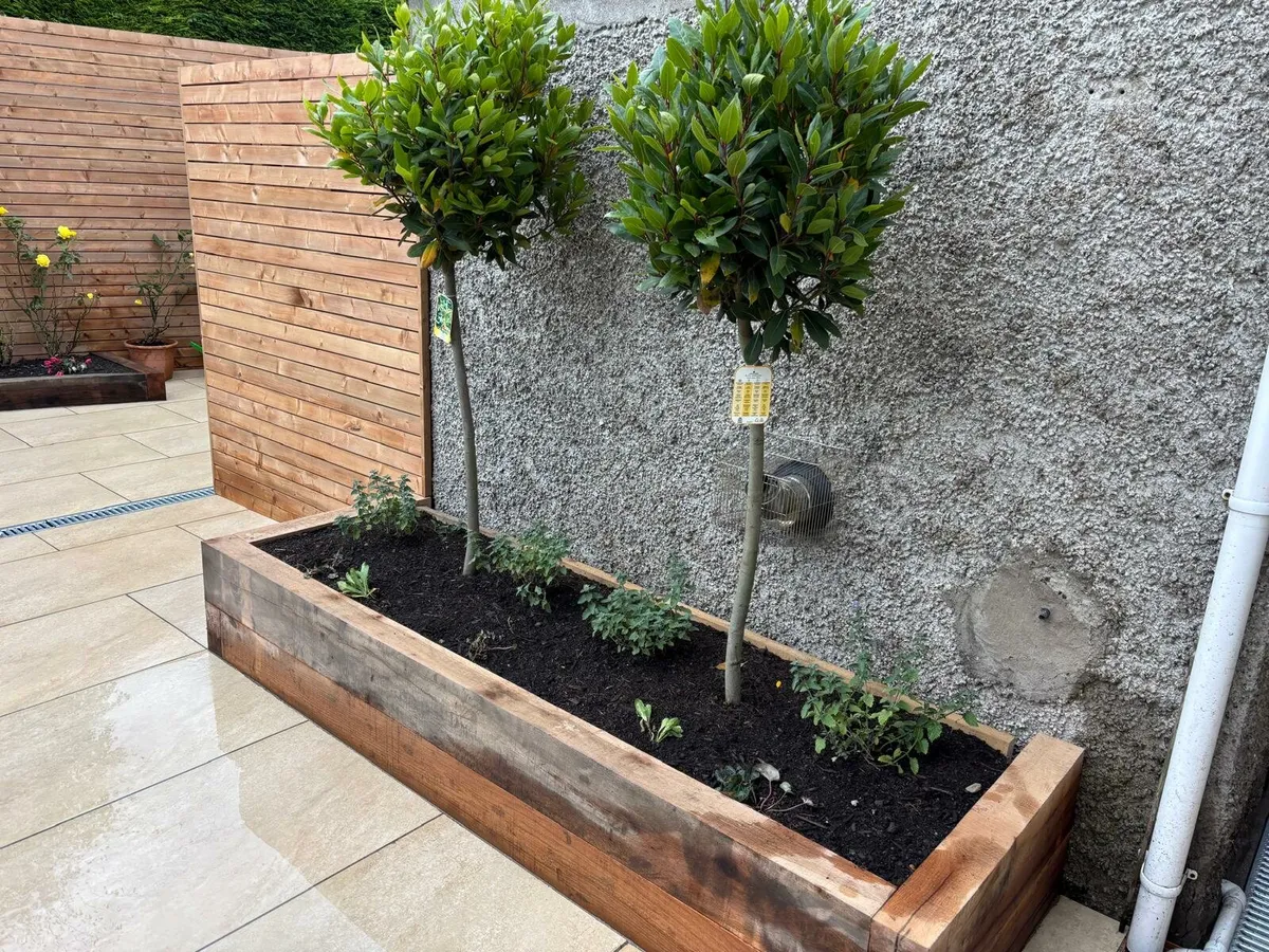 Real Oak Timber sleepers  2400 x 200 x 100 - Image 1