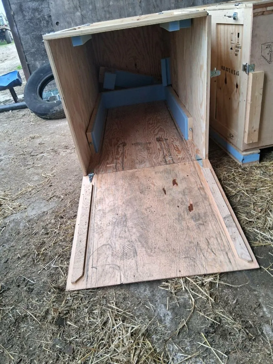 Storage box - Image 3