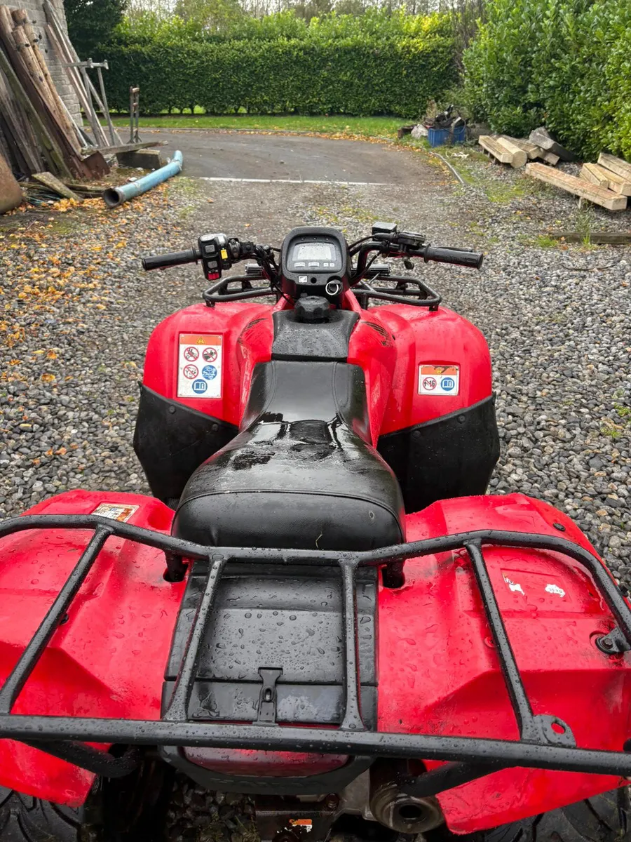 Honda TRX 250 - Image 4