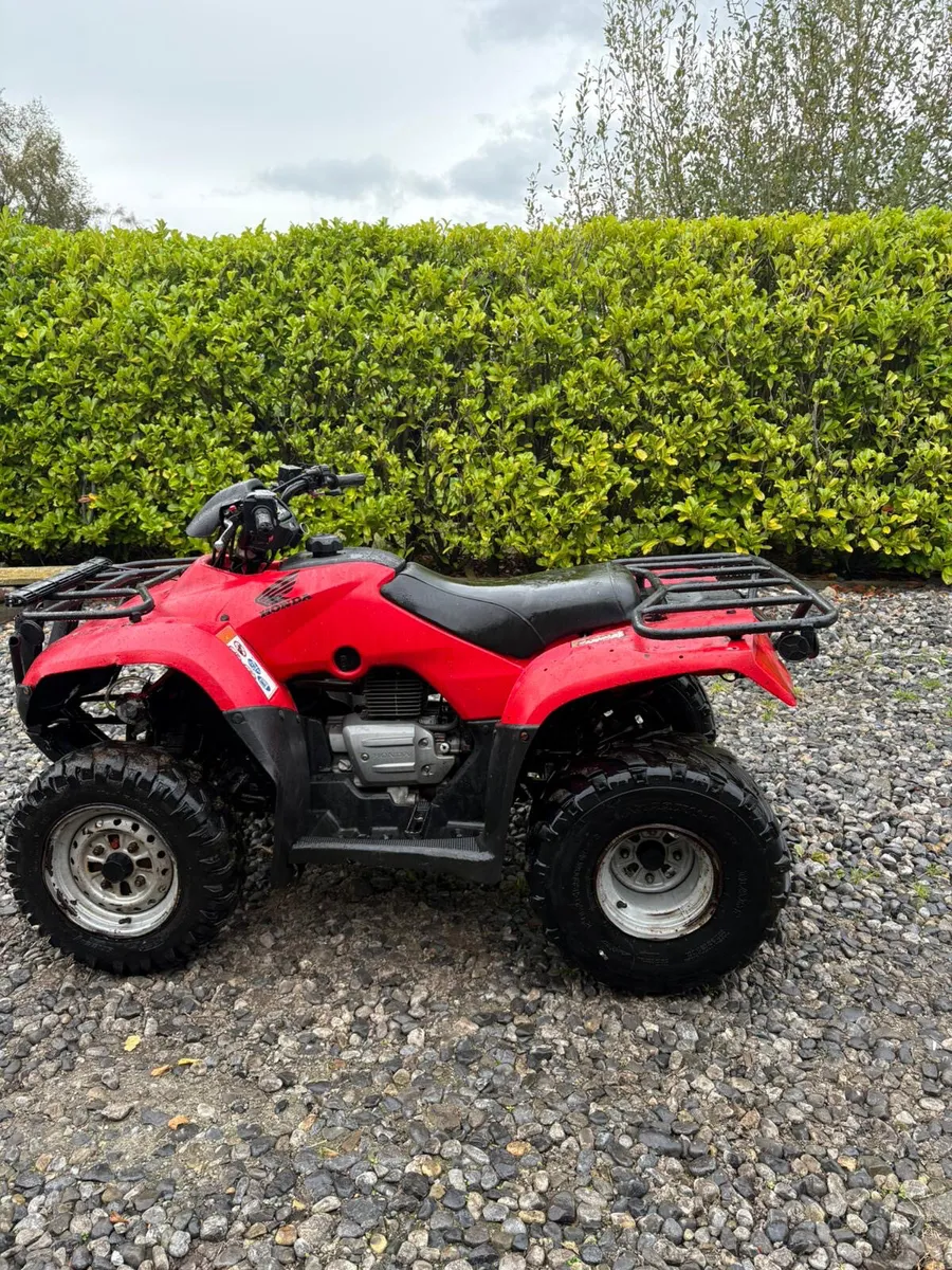 Honda TRX 250 - Image 1