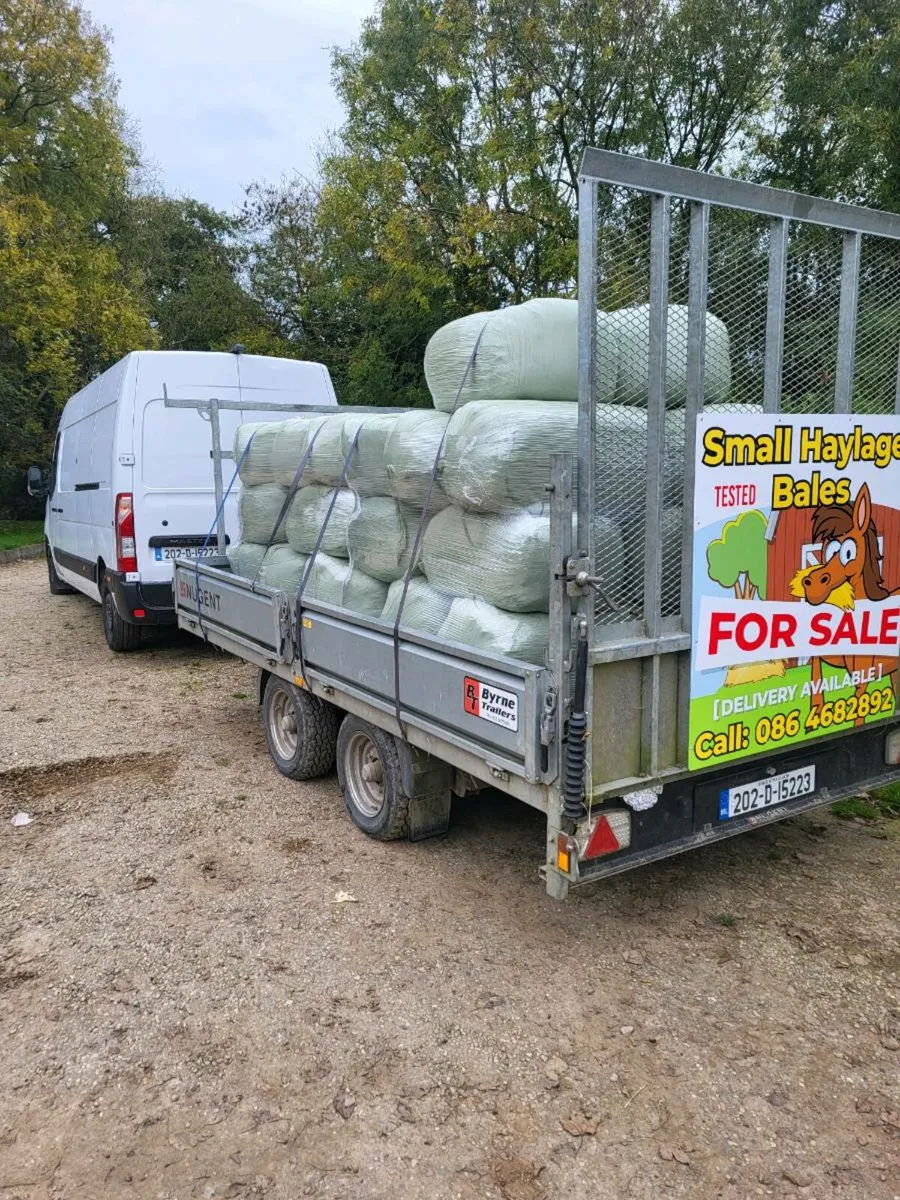 Small haylage bales - Image 1