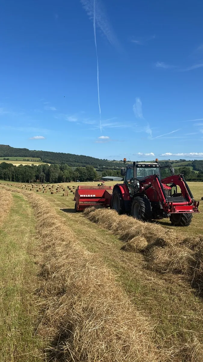 HAYLAGE SMALL SQUARE BALES ,4#4 STRAW - Image 2