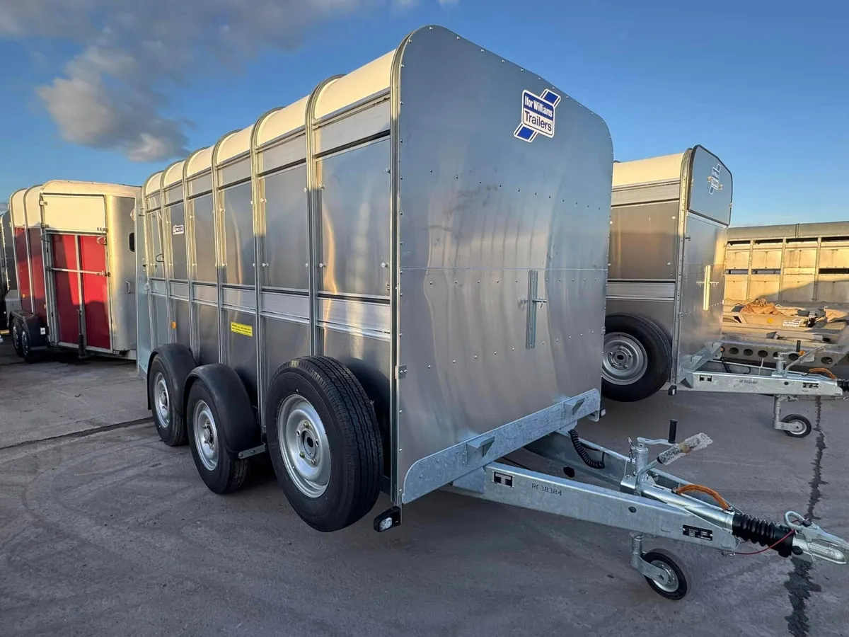 Southeast ifor Williams dealer - Image 4