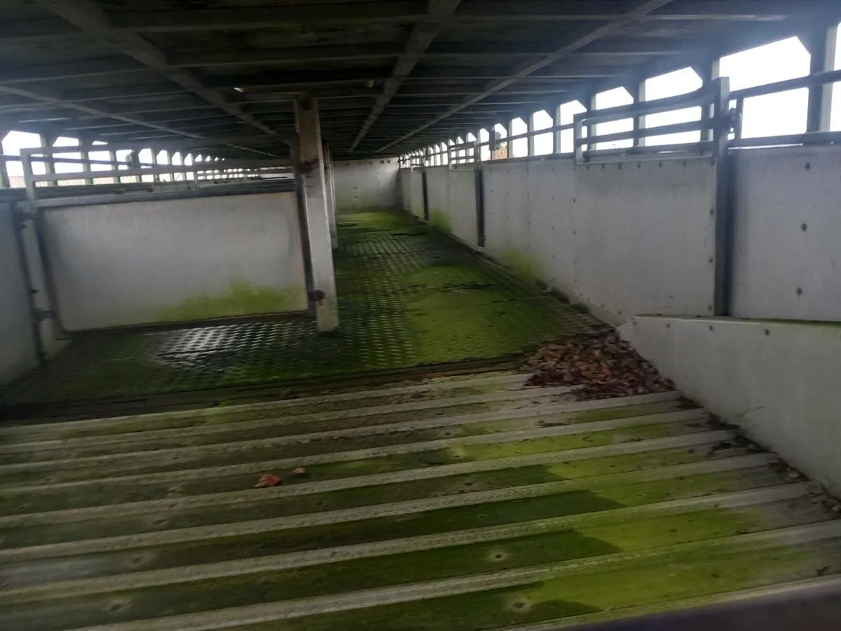 40ft 2 deck sheep or pig trailer - Image 4