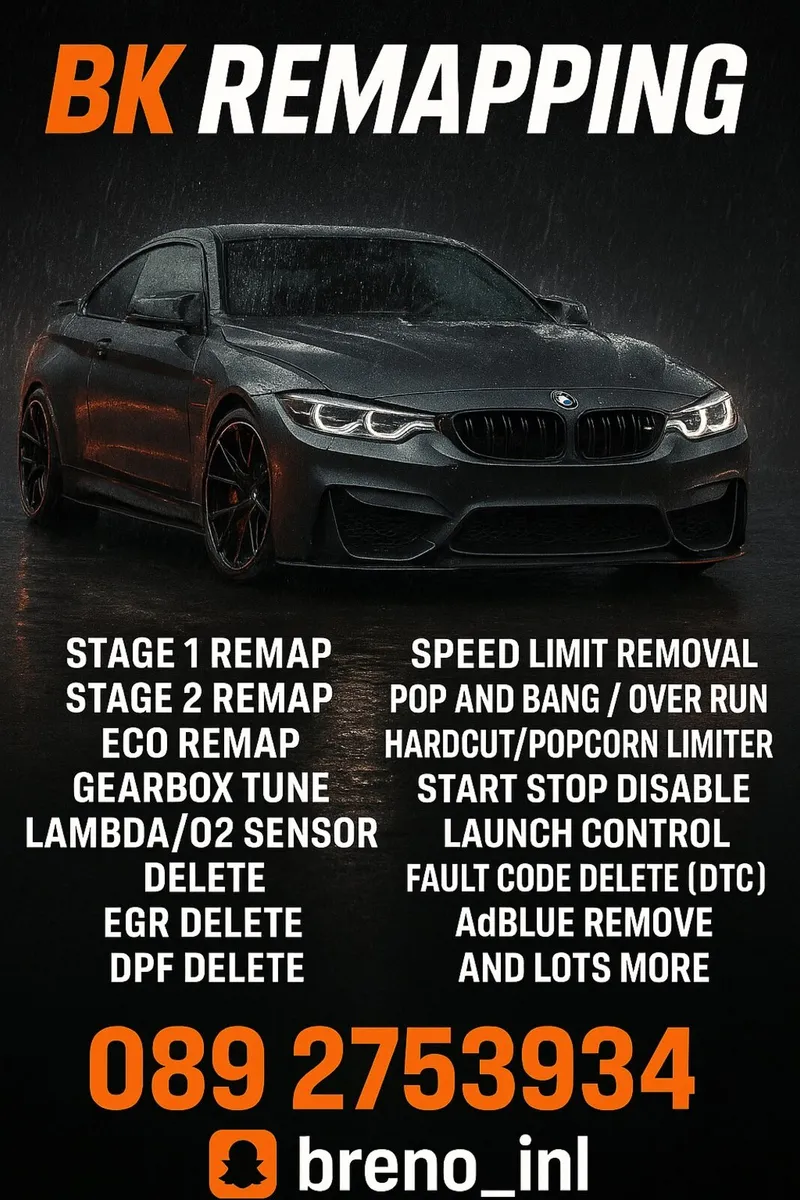 REMAP / DPF / EGR / MAF / AdBLUE - Image 1