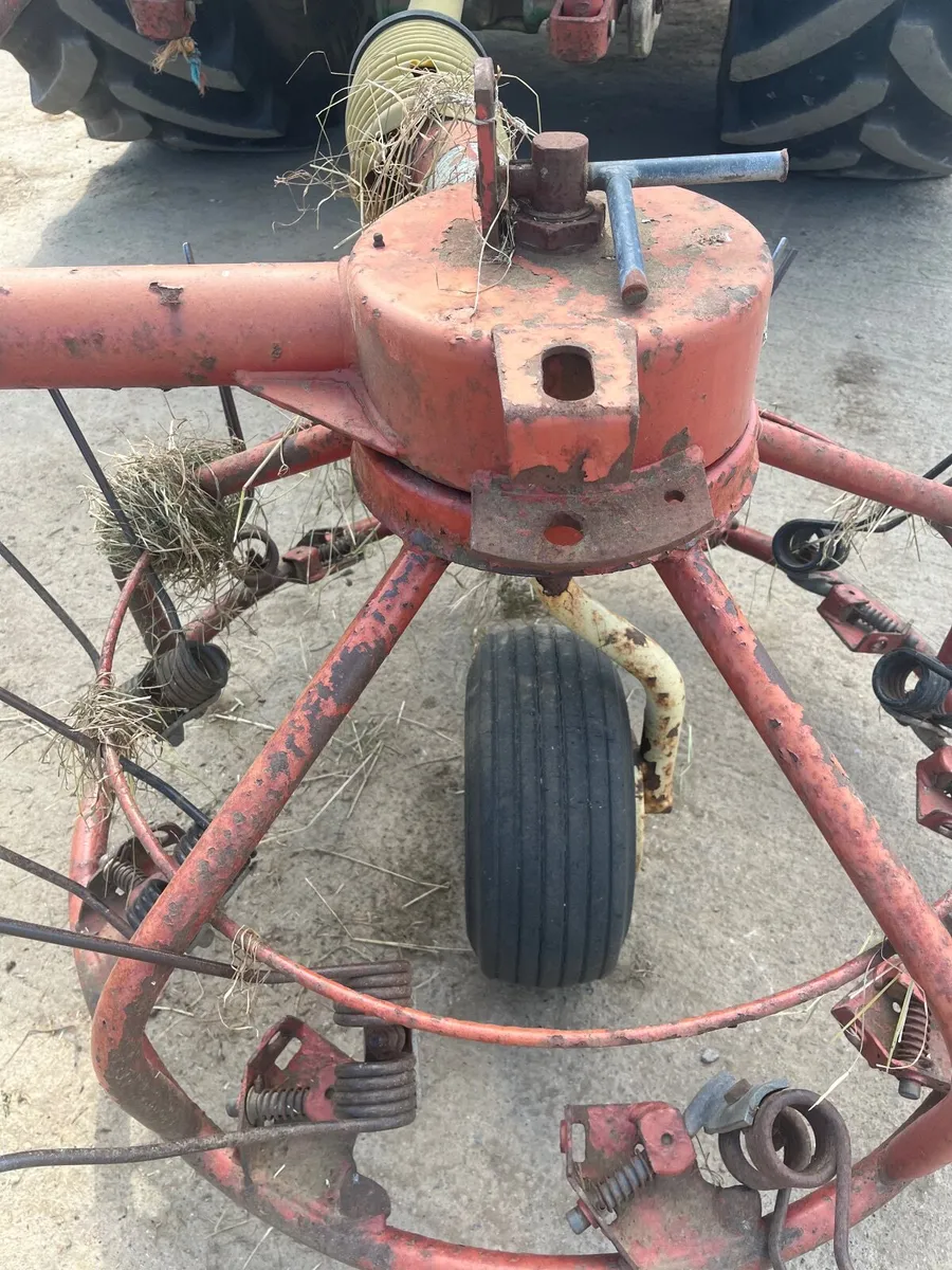 Hay Haylige silage & straw - Image 3